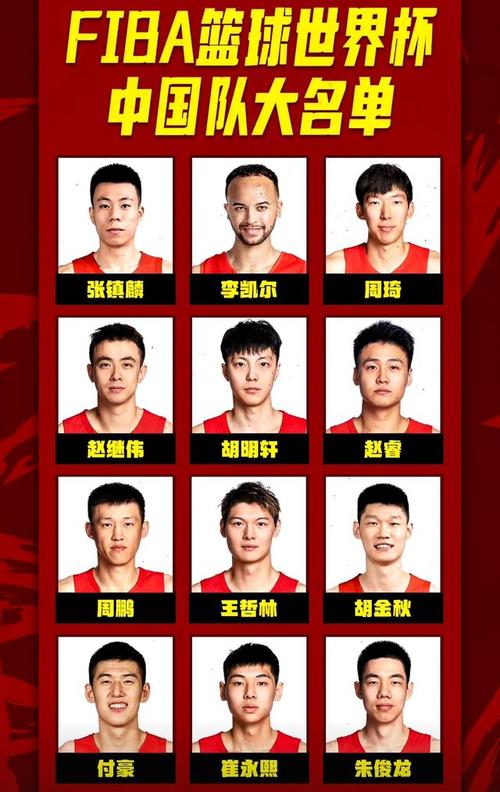 中国男篮12人大名单